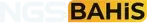 Ngsbahis logo